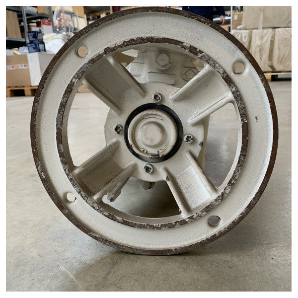 Gianneschi marin kylpump DG Emerg. BT311V/90L-4 V1 - hållbar saltvattenresistent nödkylningslösning