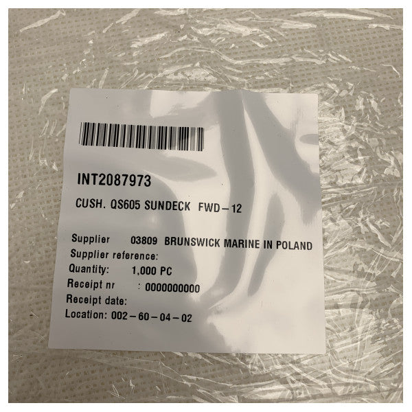 Quicksilver 605 Sundeck forward Sundeck Cushion White - 2087973