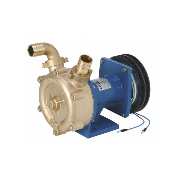 Liverani Pumpe 30 Special Marine Pumpe mit Magnetkupplung - Industriequalität