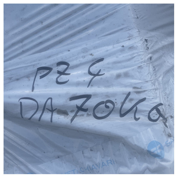 サンギネティ プール・アンカー 70 KG 亜鉛メッキ RINA認証品