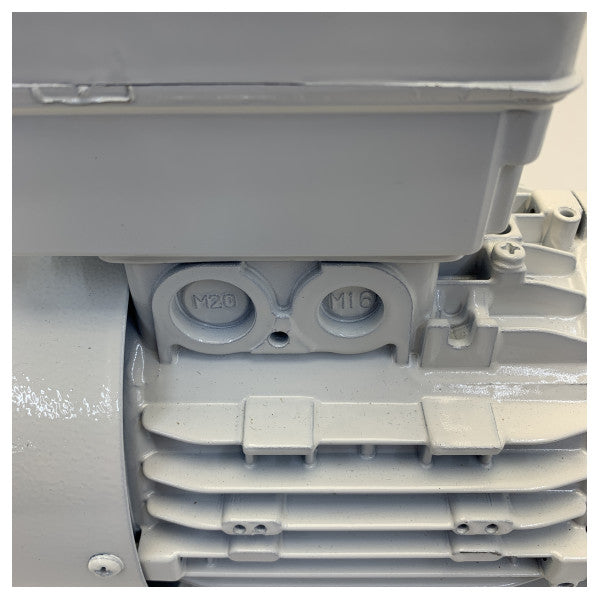 Gianneschi CP26 A1 230V Samousisna brončana pumpa - 01ACP2602A1