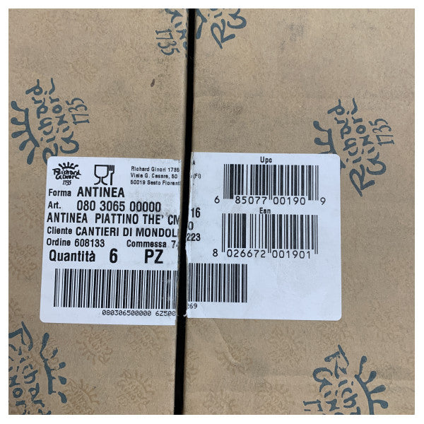 Richard Ginori Antinea Marine Bone China Tea Cup and Saucer