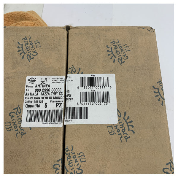 Richard Ginori Antinea Marine Bone China Tea Cup and Saucer