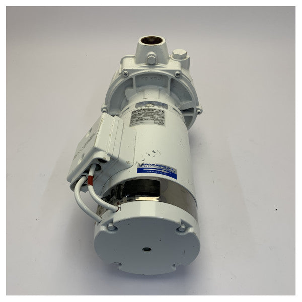 ジアネスキ BMA-S 32/125 A1 セルフプライミング真鍮ポンプ 24V 1.1 kW