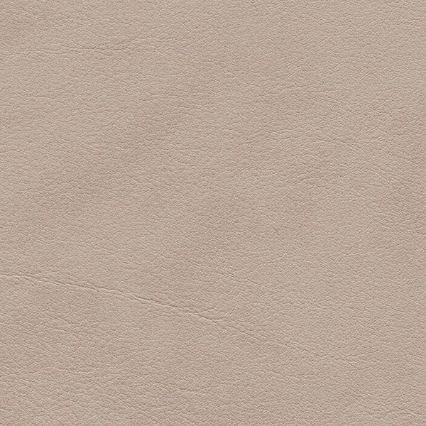 Guidi Mario Parma 1169 Birke presvlaka 30 m