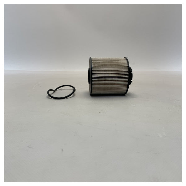 Fleetguard FF5380 Daħħal il-filtru tal-fjuwil