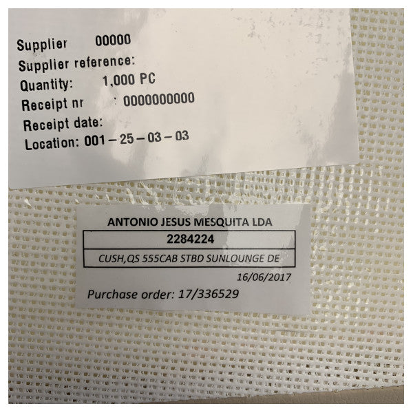 Quicksilver 555 Kabinenkissen für die Steuerbordseite Sonnenliege Beige - 2284224 