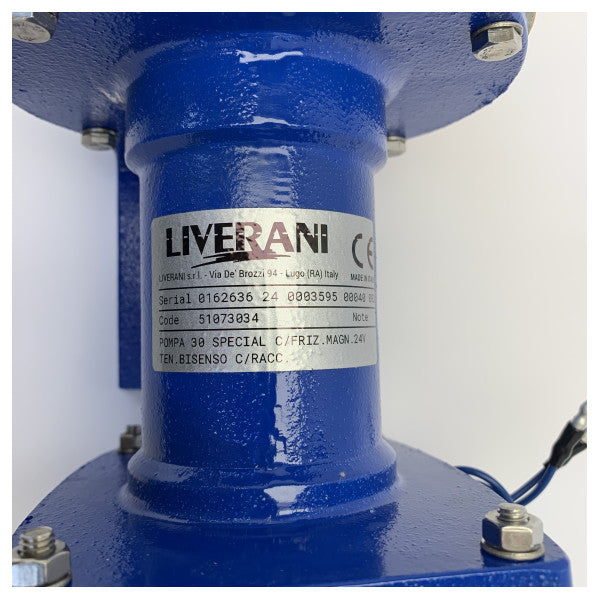Liverani Pumpe 30 Special Marine Pumpe mit Magnetkupplung - Industriequalität 
