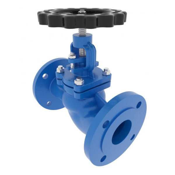 High-Quality DN50 PN16 Marine Iron Gate Valve with Corrosion-Resistant Coating and Handwheel Operation