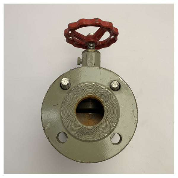 High-Quality DN50 PN16 Marine Iron Gate Valve with Corrosion-Resistant Coating and Handwheel Operation