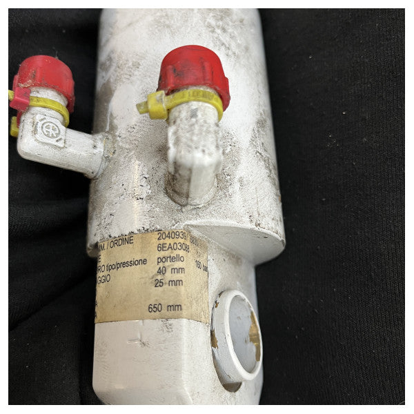 ベゼンツォーニの水圧シリンダのステンレス鋼の白い上塗を施してある - 6EA03088